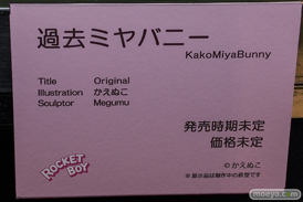 第14回 ネイティブグループ合同展示会（エロホビ） エロ フィギュア キャストオフ 2日目 asleep.#2 服従の淫魔　イルヴァ 須藤遠亜　バニーver. 17