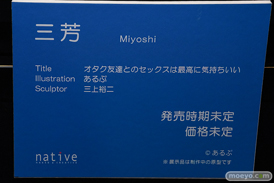 第14回 ネイティブグループ合同展示会（エロホビ） エロ フィギュア キャストオフ 2日目 のくちゅるぬ ネイティブ 異端ちゃん 神楽 焔 リエッタ 05