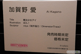 第14回 ネイティブグループ合同展示会（エロホビ） エロ フィギュア キャストオフ HOTVENUS 魔法少女アイ 加賀野愛 miya DimensionTrace ばん！ 34